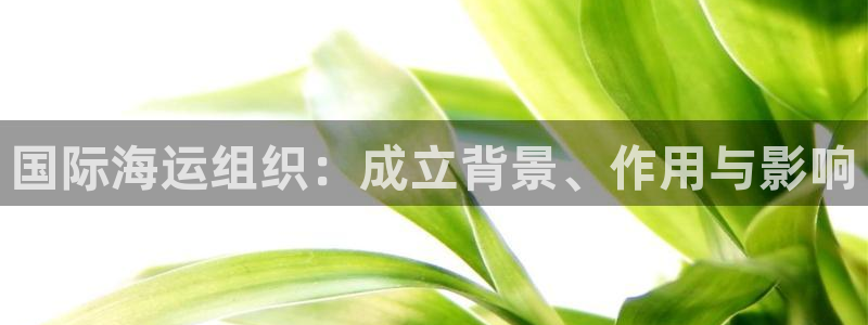 公海 赌船710手机版下载官方
