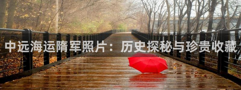 欢迎来到公海710线路是多少