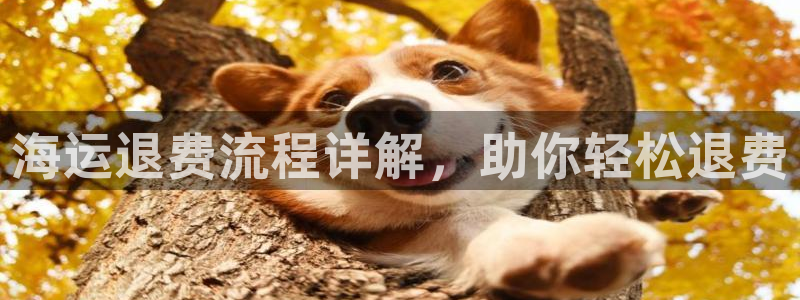 公海赌赌船jcjc710