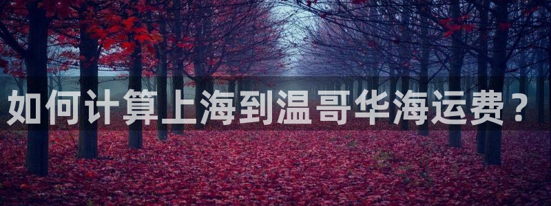 欢迎来到公海电脑版