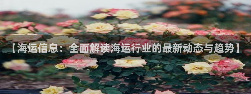 欢迎来到公海欢迎来到赌船