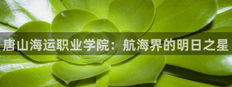 欢迎您来到公海欢迎来到赌船