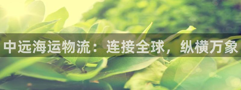欢迎来到g港