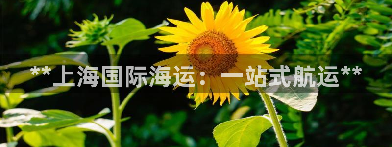 公海赌赌船官网jc710