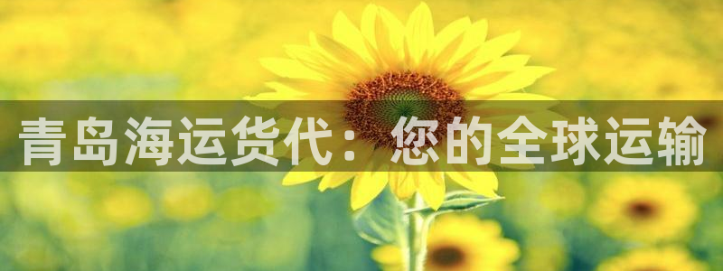 欢迎来到公赌船