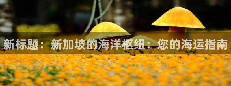 公海赌赌船快速充值