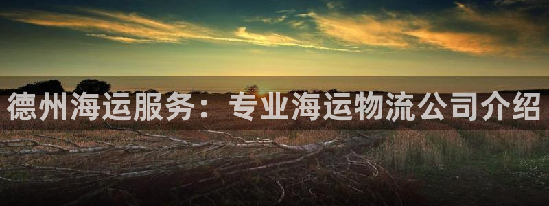 在公海赌博犯法吗