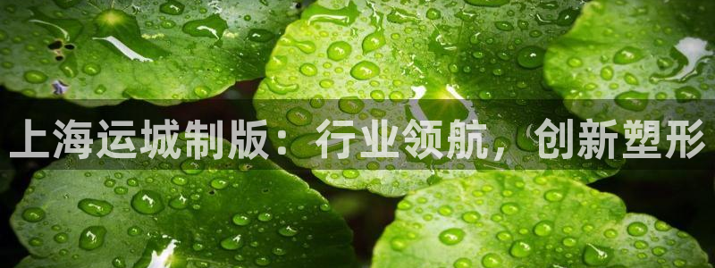 710公海赌赌船有总代理吗