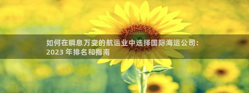 欢迎你来到公主的海岛