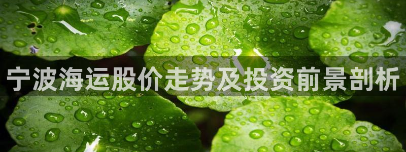 公海赌钱很大吗