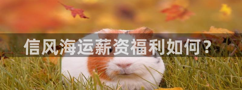 欢迎来到公海手机版710