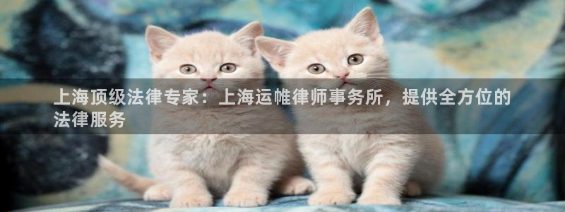 欢迎来到公海堵船