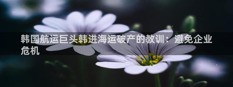欢迎来到公海