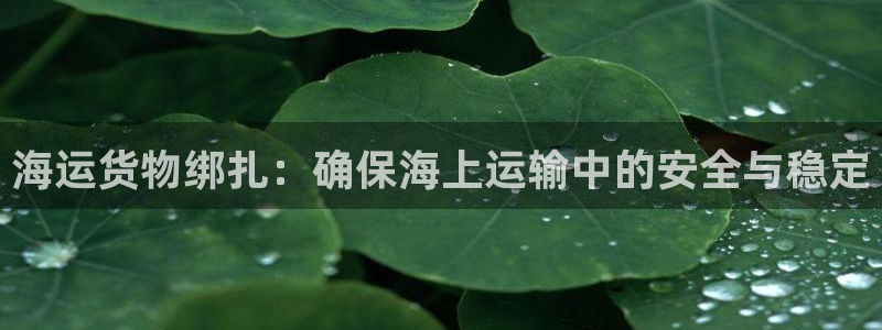 欢迎来公海欢迎来到船701