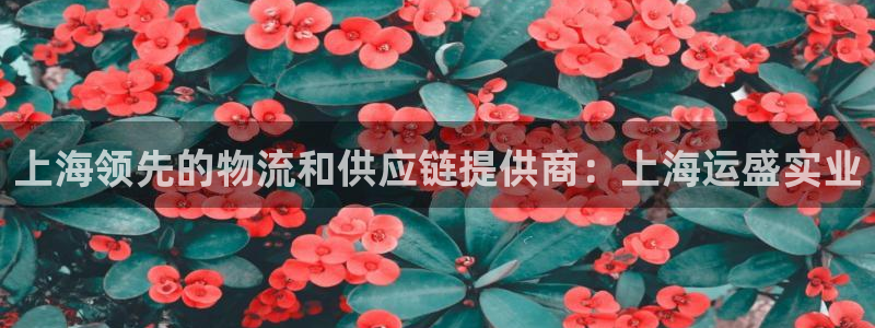 欢迎来到赌船公海710