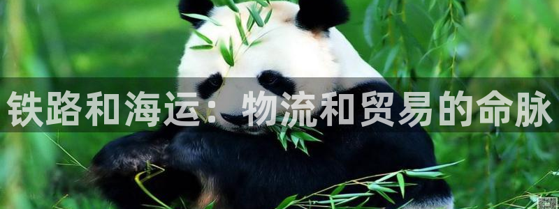 欢迎你来到公海赌